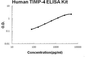 Human TIMP-4 PicoKine ELISA Kit standard curve (TIMP4 ELISA 试剂盒)