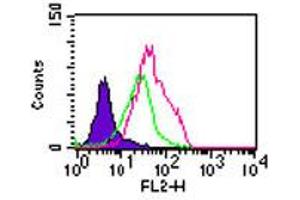 TLR5 Flow Cytometry Flow Cytometry of Rabbit Anti-TLR5 antibody. (TLR5 抗体)