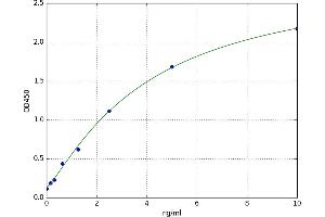 Secretogranin III (SCG3) ELISA Kit
