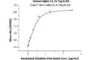 Immobilized Human Siglec-15, Fc Tag (ABIN6923190,ABIN6938901) at 10 μg/mL (100 μL/well) on Diamond Protein A Protein, His Tag precoated (0. (SIGLEC15 Protein (AA 20-263) (Fc Tag))