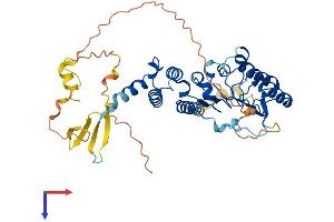 LRRC42 Protein (AA 1-421) (His tag)