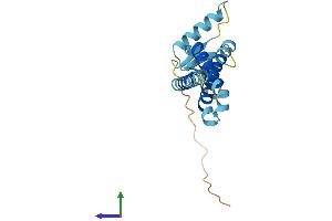 AlphaFold protein structure predicition of Mouse Recombinant Tmem11 Protein, UniprotID Q8BK08