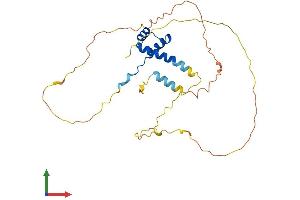 Protein Structure (PS) image for NK2 Homeobox 6 (NKX2-6) (AA 1-289) protein (His tag) (ABIN7563267)