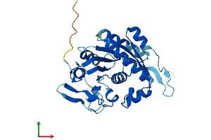 AlphaFold protein structure predicition of Mouse Recombinant Nubp2 Protein, UniprotID Q9R061