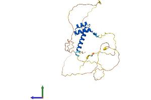 Protein Structure (PS) image for Orthodenticle Homeobox 2 (OTX2) (AA 1-289) protein (His tag) (ABIN7556739)