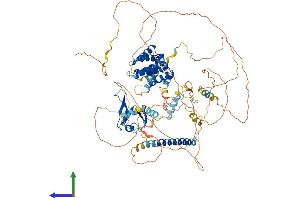 Protein Structure (PS) image for Axin 2 (AXIN2) (AA 1-843) protein (His tag) (ABIN7552625)