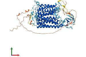 Protein Structure (PS) image for Organic Anion Transporter H (OATP-H) (AA 1-722) protein (His tag) (ABIN7564336)