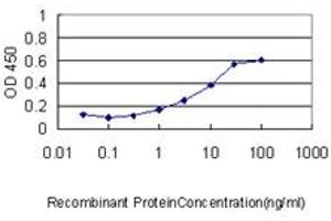 Detection limit for recombinant GST tagged F2 is approximately 1ng/ml as a capture antibody. (Prothrombin 抗体  (AA 263-362))