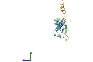 Protein Structure (PS) image for Ring Finger Protein 122 (RNF122) (AA 1-155) protein (His tag) (ABIN7551516)