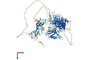 LNX1 Protein (AA 1-728) (His tag)