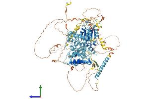 Protein Structure (PS) image for CTF18, Chromosome Transmission Fidelity Factor 18 Homolog (CHTF18) (AA 1-975) protein (His tag) (ABIN7553598)