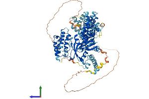 Protein Structure (PS) image for K(lysine) Acetyltransferase 2B (KAT2B) (AA 1-813) protein (His tag) (ABIN7565074)