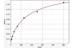 Interleukin 2 Receptor, beta (IL2RB) ELISA Kit