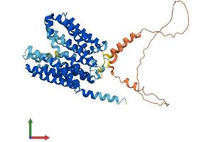 Protein Structure (PS) image for Solute Carrier Family 16 (Monocarboxylic Acid Transporters), Member 4 (SLC16A4) (AA 1-500) protein (His tag) (ABIN7559638)