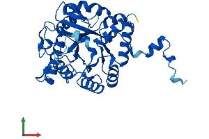 Protein Structure (PS) image for Aminolevulinate Dehydratase (ALAD) (AA 1-330) protein (His tag) (ABIN7548262)