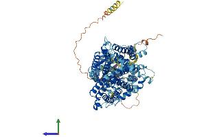 Protein Structure (PS) image for Solute Carrier Family 4, Anion Exchanger, Member 1 (erythrocyte Membrane Protein Band 3, Diego Blood Group) (SLC4A1) (AA 1-911) protein (His tag) (ABIN7552595)