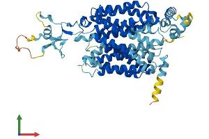 Protein Structure (PS) image for Solute Carrier Family 22 (Organic Cation Transporter), Member 7 (SLC22A7) (AA 1-540) protein (His tag) (ABIN7560059)