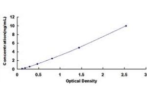 Typical standard curve (Kallikrein 4 ELISA 试剂盒)