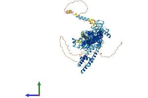 Protein Structure (PS) image for Transient Receptor Potential Cation Channel, Subfamily C, Member 6 (TRPC6) (AA 1-931) protein (His tag) (ABIN7555831)