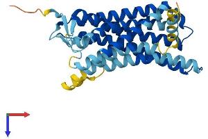Olfactory Receptor, Family 13, Subfamily C, Member 7 Pseudogene (OR13C7P) (AA 1-318) protein (His tag)