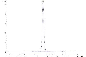 The purity of Human BAFF (Trimer) is greater than 94 % as determined by SEC-HPLC. (BAFF Protein (AA 141-285, Trimer) (hFc-DYKDDDDK Tag))
