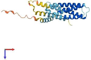 AlphaFold protein structure predicition of Mouse Recombinant Cmtm2b Protein, UniprotID Q9DAC0 (CMTM2B Protein (AA 1-210) (His tag))