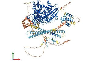 Protein Structure (PS) image for Microtubule Associated Monoxygenase, Calponin and LIM Domain Containing 1 (MICAL1) (AA 1-1067) protein (His tag) (ABIN7554571)