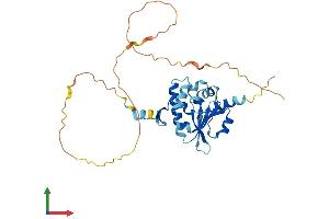 Protein Structure (PS) image for BCL2/adenovirus E1B 19kDa Interacting Protein 2 (BNIP2) (AA 1-314) protein (His tag) (ABIN7552740)