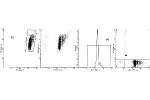Image no. 1 for anti-Glycophorin A (GYPA) antibody (FITC) (ABIN1106121) (CD235a/GYPA 抗体  (FITC))