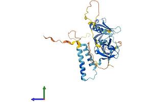 AlphaFold protein structure predicition of Mouse Recombinant Skap2 Protein, UniprotID Q3UND0