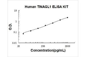 Typical Standard Curve