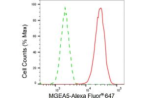 Flow cytometric analysis of MGEA5 expression in HAP-1 cells using MGEA5 antibody (ABIN7799372), 1:2,000). (Recombinant MGEA5 抗体)