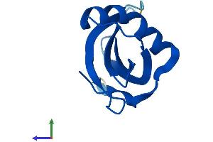 AlphaFold protein structure predicition of Mouse Recombinant Stfa1 Protein, UniprotID P35175