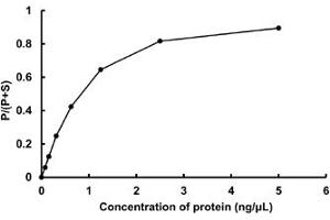 Image no. 2 for Serine/threonine-Protein Kinase NIM1 (NIM1) (AA 1-436) (Active) protein (GST tag) (ABIN5570534) (NIM1 Protein (AA 1-436) (GST tag))