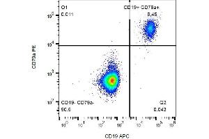 Intracellular staining of CD79a in human peripheral blood with anti-CD79a PE. (CD79a 抗体  (AA 202-216) (PE))