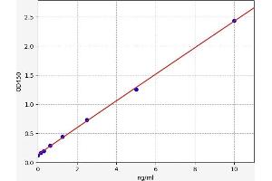 Typical standard curve (ARNT2 ELISA 试剂盒)