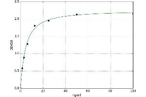 A typical standard curve