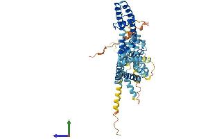 Protein Structure (PS) image for Potassium Voltage-Gated Channel, Subfamily G, Member 1 (KCNG1) (AA 1-513) protein (His tag) (ABIN7548665)