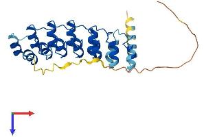 Ankyrin Repeat Domain 7 (ANKRD7) (AA 1-279) protein (His tag)