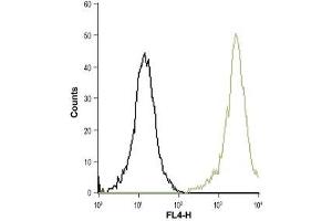 Cell surface detection of CysLTR1 in live intact THP-1 (acute monocytic leukemia) cells: (black line) Cells + goat-anti-rabbit-Cy5. (CysLTR1 抗体  (Extracellular))