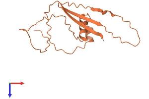 AlphaFold protein structure predicition of Human Recombinant LINC00615 Protein, UniprotID Q96LM1