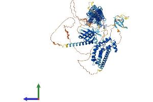 Protein Structure (PS) image for MCF.2 Cell Line Derived Transforming Sequence-Like (MCF2L) (AA 1-1149) protein (His tag) (ABIN7563975)