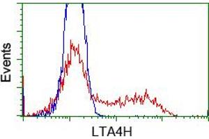 Image no. 1 for anti-Leukotriene A4 Hydrolase (LTA4H) antibody (ABIN1499213)
