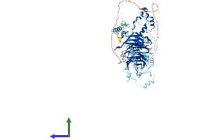 Protein Structure (PS) image for Block of Proliferation 1 (BOP1) (AA 1-746) protein (His tag) (ABIN7552741)