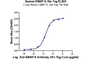 Immobilized Human EMAP-II, His Tag at 2 μg/mL (100 μL/well) on the plate. (AIMP1 Protein (AA 2-312) (His tag))
