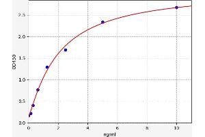 Osteoactivin ELISA 试剂盒