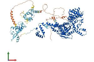 Protein Structure (PS) image for Recombination Activating Gene 1 (RAG1) (AA 1-1043) protein (His tag) (ABIN7555139)