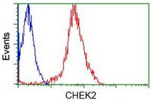 Flow Cytometry (FACS) image for anti-Checkpoint Kinase 2 (CHEK2) antibody (ABIN1497499) (CHEK2 抗体)