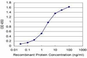 Detection limit for recombinant GST tagged FADD is approximately 0. (FADD 抗体  (AA 109-208))