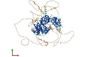 AlphaFold protein structure predicition of Mouse Recombinant Fam120c Protein, UniprotID Q8C3F2